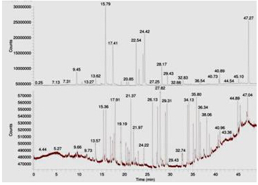 ��ʨ�����(�й�)���޹�˾-Official website