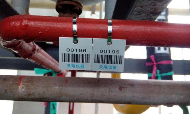 ��ʨ�����(�й�)���޹�˾-Official website