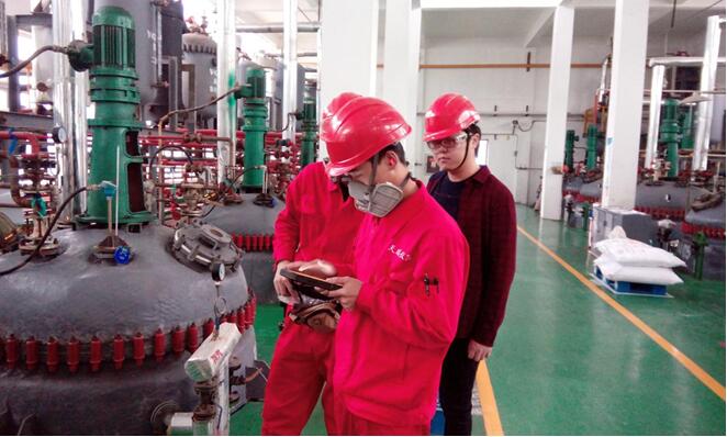 ��ʨ�����(�й�)���޹�˾-Official website