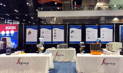 ��ʨ�����(�й�)���޹�˾-Official website