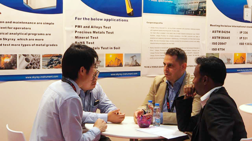 ��ʨ�����(�й�)���޹�˾-Official website