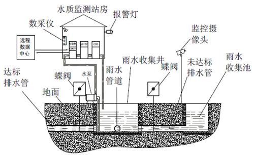 ��ʨ�����(�й�)���޹�˾-Official website