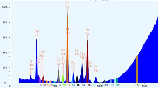 ��ʨ�����(�й�)���޹�˾-Official website