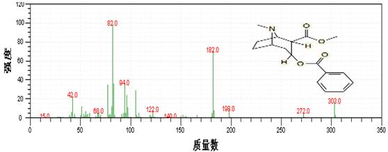 ��ʨ�����(�й�)���޹�˾-Official website