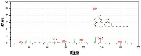 ��ʨ�����(�й�)���޹�˾-Official website