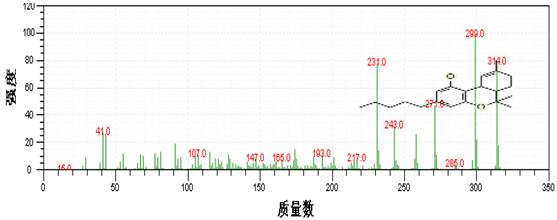 ��ʨ�����(�й�)���޹�˾-Official website