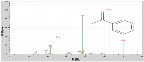 ��ʨ�����(�й�)���޹�˾-Official website