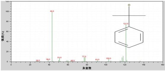 ��ʨ�����(�й�)���޹�˾-Official website