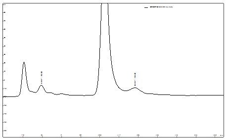 ��ʨ�����(�й�)���޹�˾-Official website