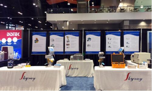 ��ʨ�����(�й�)���޹�˾-Official website