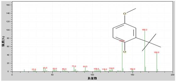 ��ʨ�����(�й�)���޹�˾-Official website