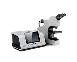 ��ʨ�����(�й�)���޹�˾-Official website