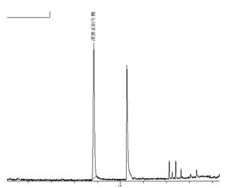 ��ʨ�����(�й�)���޹�˾-Official website