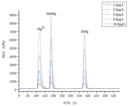 ��ʨ�����(�й�)���޹�˾-Official website