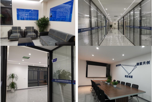 ��ʨ�����(�й�)���޹�˾-Official website