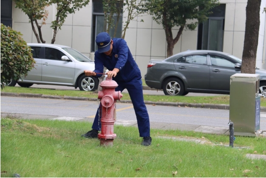 ��ʨ�����(�й�)���޹�˾-Official website