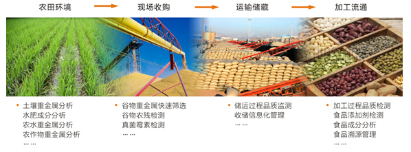 ��ʨ�����(�й�)���޹�˾-Official website