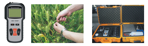 ��ʨ�����(�й�)���޹�˾-Official website