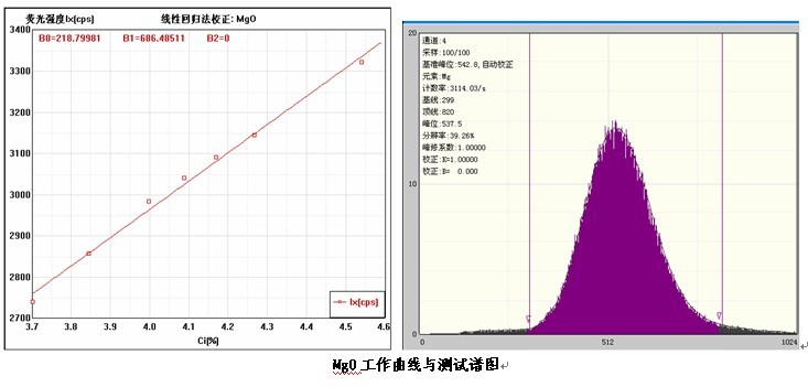 ��ʨ�����(�й�)���޹�˾-Official website