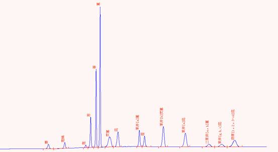 ��ʨ�����(�й�)���޹�˾-Official website